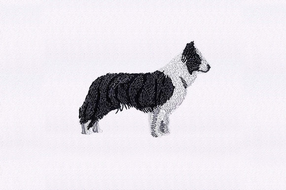 Border Collie Embroidery Review